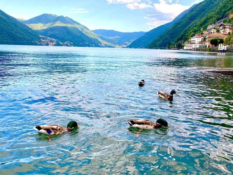 Una Finestra Sul Lago Argegno Ngoại thất bức ảnh